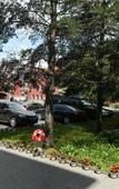 Туры в отель Changbai Mountain Songlin Hotel Туры в отель Changbai Mountain Songlin Hotel