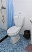 Туры в отель Shell Hotel (Shanghai Baoshan Jinqiu Road Shanghai University Metro) Туры в отель Shell Hotel (Shanghai Baoshan Jinqiu Road Shanghai University Metro)
