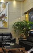 Туры в отель Nanhong Hotel Туры в отель Nanhong Hotel