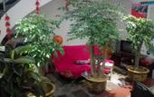 Туры в отель Lanxi Huachen Hotel Туры в отель Lanxi Huachen Hotel