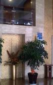 Туры в отель Super 8 Hotel (Changle Xinda Garden Shiyang Subway Station) Туры в отель Super 8 Hotel (Changle Xinda Garden Shiyang Subway Station)
