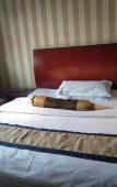 Туры в отель Risheng Hotel Туры в отель Risheng Hotel
