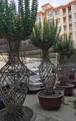 Туры в отель Xinmei Hotel Туры в отель Xinmei Hotel