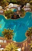 Туры в отель Loews Hotel Miami Beach Туры в отель Loews Hotel Miami Beach