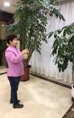 Туры в отель Beijing Huitong Sunshine Business Hotel Туры в отель Beijing Huitong Sunshine Business Hotel