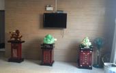 Туры в отель Pebble Motel(tianyi store) Туры в отель Pebble Motel(tianyi store)