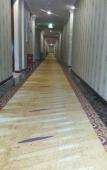 Туры в отель Cangnan Hongcheng Business Hotel Туры в отель Cangnan Hongcheng Business Hotel