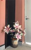 Туры в отель Wanju Business Hotel (Shanghai Wusong International Cruise Terminal) Туры в отель Wanju Business Hotel (Shanghai Wusong International Cruise Terminal)