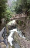 Туры в отель Julongge Туры в отель Julongge