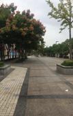 Туры в отель Homeinn Pebble Hotel (Shanghai Luheng Road Subway Station) Туры в отель Homeinn Pebble Hotel (Shanghai Luheng Road Subway Station)
