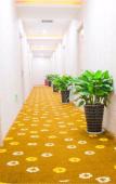 Туры в отель Pebble Motel(Shaoxing Lu Xun's Hometown Store) Туры в отель Pebble Motel(Shaoxing Lu Xun's Hometown Store)