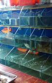 Туры в отель Cangnan Yuanmeng Business Hotel Туры в отель Cangnan Yuanmeng Business Hotel
