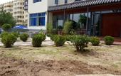Туры в отель Chunrun Courtyard Hotel (Weihai Golden Beach Bathing Beach) Туры в отель Chunrun Courtyard Hotel (Weihai Golden Beach Bathing Beach)