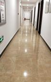 Туры в отель Pine Villa Hotel Туры в отель Pine Villa Hotel