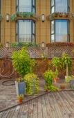 Туры в отель Huamei Shilan She Туры в отель Huamei Shilan She