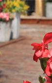 Туры в отель Huamei Shilan She Туры в отель Huamei Shilan She
