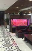 Туры в отель Weihaishirong Cheng Shi Shi Dao Chi Hang Business Hotel Туры в отель Weihaishirong Cheng Shi Shi Dao Chi Hang Business Hotel