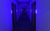 Туры в отель Wensheng Hotel (Shenzhen Dapeng New District Kwai Chung Branch) Туры в отель Wensheng Hotel (Shenzhen Dapeng New District Kwai Chung Branch)