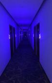Туры в отель Wensheng Hotel (Shenzhen Dapeng New District Kwai Chung Branch) Туры в отель Wensheng Hotel (Shenzhen Dapeng New District Kwai Chung Branch)