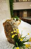 Туры в отель Borrman Hotel(Dacheng Road Water Magic Cube Branch) Туры в отель Borrman Hotel(Dacheng Road Water Magic Cube Branch)