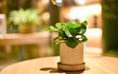 Туры в отель Home Inn UP Huayi Select Hotel Туры в отель Home Inn UP Huayi Select Hotel