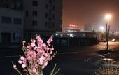 Туры в отель Yunju Shengxiang Hotel Туры в отель Yunju Shengxiang Hotel