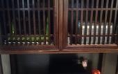 Туры в отель Pushe Garden Art Hotel Туры в отель Pushe Garden Art Hotel