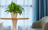 Туры в отель Ahao Garden Hotel (Huizhou Huiyang High Speed Railway Station Store) Туры в отель Ahao Garden Hotel (Huizhou Huiyang High Speed Railway Station Store)
