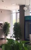 Туры в отель Shankee Hotel (Fengning Bus Station) Туры в отель Shankee Hotel (Fengning Bus Station)
