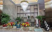 Туры в отель Lantu Hotel (Luoyang Airport Branch) Туры в отель Lantu Hotel (Luoyang Airport Branch)