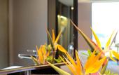 Туры в отель Yinhu Junyi Hotel(Wildlife Park) Туры в отель Yinhu Junyi Hotel(Wildlife Park)