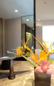 Туры в отель Yinhu Junyi Hotel(Wildlife Park) Туры в отель Yinhu Junyi Hotel(Wildlife Park)