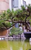 Туры в отель Blossom & Resorts · Shunlu Туры в отель Blossom & Resorts · Shunlu