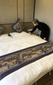 Туры в отель Jiashan Jiayi Futura Voy Coze Hotel!!! Туры в отель Jiashan Jiayi Futura Voy Coze Hotel!!!