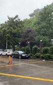 Туры в отель hangzhou Yinsheng hotel Туры в отель hangzhou Yinsheng hotel