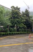 Туры в отель hangzhou Yinsheng hotel Туры в отель hangzhou Yinsheng hotel