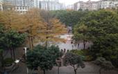 Туры в отель Hengfu Hotel (Lingnan Tiandi Oriental Plaza) Туры в отель Hengfu Hotel (Lingnan Tiandi Oriental Plaza)