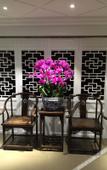 Туры в отель Floral Hotel · Yongjia Big House hotel (Furong Ancient Village Lishui Ancient Street) Туры в отель Floral Hotel · Yongjia Big House hotel (Furong Ancient Village Lishui Ancient Street)