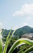 Туры в отель Floral Hotel · Yongjia Big House hotel (Furong Ancient Village Lishui Ancient Street) Туры в отель Floral Hotel · Yongjia Big House hotel (Furong Ancient Village Lishui Ancient Street)