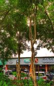 Туры в отель Chengdong Hotel (Shenzhen OCT Creative Culture Park Qiaocheng East Metro Station Branch) Туры в отель Chengdong Hotel (Shenzhen OCT Creative Culture Park Qiaocheng East Metro Station Branch)