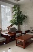 Туры в отель Goton Business Hotel (Hangzhou Xiaoshan Airport) Туры в отель Goton Business Hotel (Hangzhou Xiaoshan Airport)