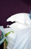 Туры в отель Litchi hotel Туры в отель Litchi hotel