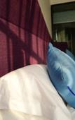 Туры в отель Litchi hotel Туры в отель Litchi hotel