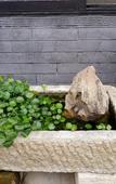 Туры в отель Qufu Qing She Homestay Туры в отель Qufu Qing She Homestay