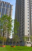 Туры в отель IN HOME Туры в отель IN HOME