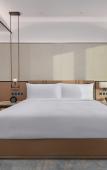 Туры в отель DoubleTree by Hilton Shenzhen Airport Туры в отель DoubleTree by Hilton Shenzhen Airport
