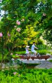 Туры в отель Ocean Spring Resort Chengdu - MGallery Туры в отель Ocean Spring Resort Chengdu - MGallery