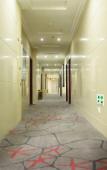 Туры в отель Junyi Chain Hotel (Xingtang Public Security Bureau) Туры в отель Junyi Chain Hotel (Xingtang Public Security Bureau)