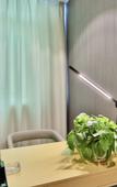 Туры в отель METEORLAND Hotel (Chaozhou Hanshan Normal University) Туры в отель METEORLAND Hotel (Chaozhou Hanshan Normal University)