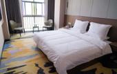 Туры в отель Yongsheng Century Star Hotel Туры в отель Yongsheng Century Star Hotel